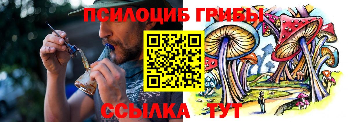 Псилоцибиновые грибы Cubensis  Вход с VPN  Бийск  Галлюциногенные грибы прущие грибы 